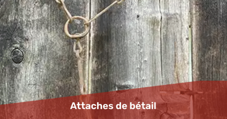 Screenshot 2025-07-17 at 2.43.32 PM